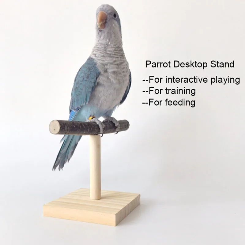 Natural Desktop Stand Pet Parr - Desk Setup Wood 评论和价格