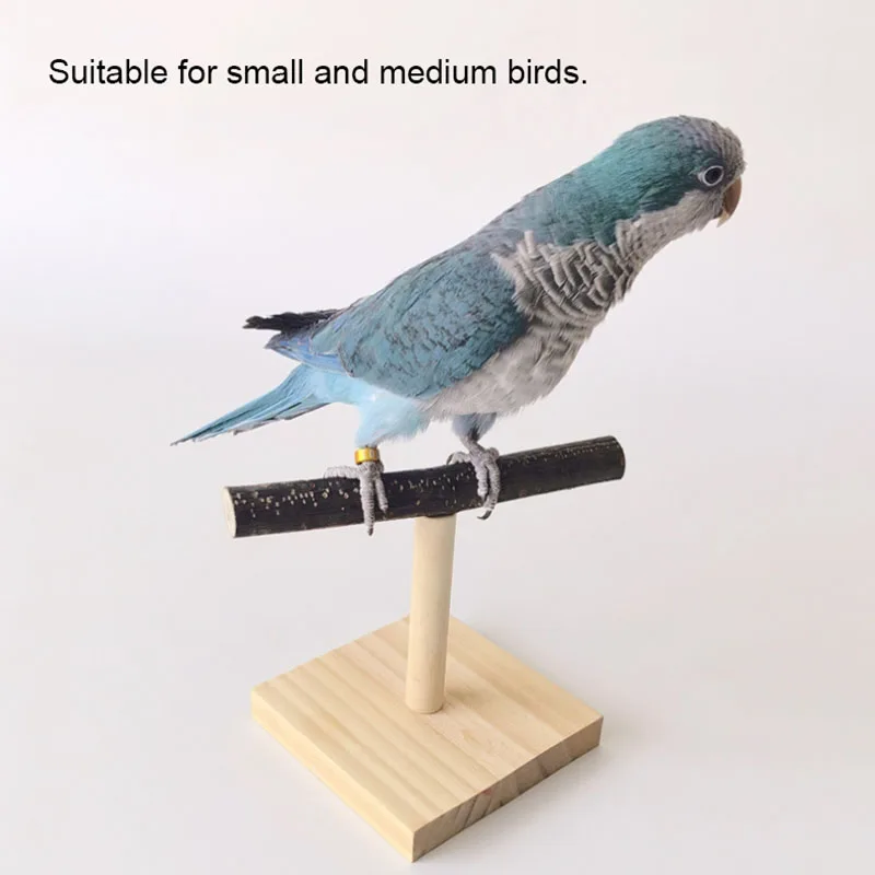 Natural Desktop Stand Pet Parr - Desk Setup Wood 评论和价格
